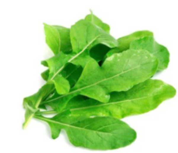 [2410004815] Arugula Seeds 1kg  